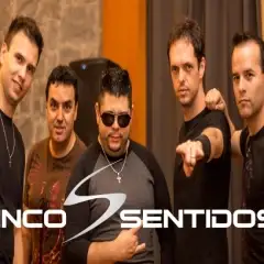 5 Sentidos