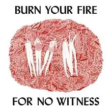 Burn Your Fire for No Witness