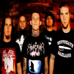 Carnifex