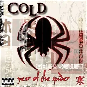 Year Of  The Spider