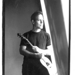 David Wilcox