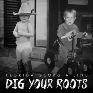 Dig Your Roots