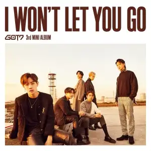 I WON'T LET YOU GO (Complete Edition)