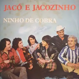 Ninho De Cobra