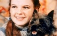 judy-garland - Fotos