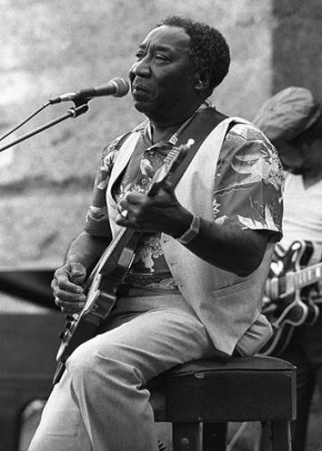 muddy-waters - Fotos