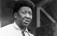 muddy-waters - Fotos