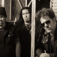 Newsted