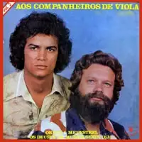 Aos Companheiros de Viola - Volume 2