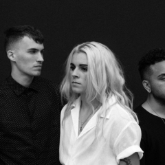 PVRIS