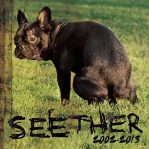 Seether: 2002-2013