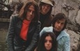 shocking-blue - Fotos