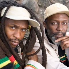 Steel Pulse