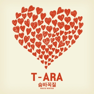 T-Ara Winter