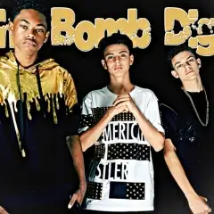 The Bomb Digz