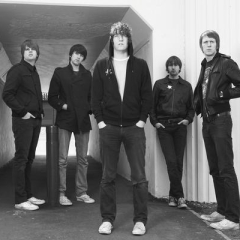 The Pigeon Detectives