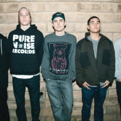 The Story So Far