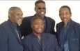 the-trammps - Fotos