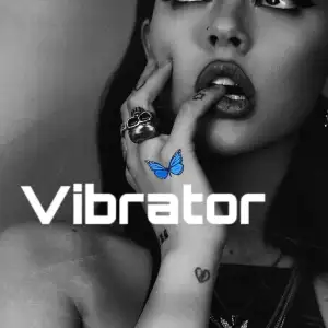 Vibrator