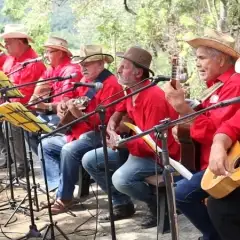 Violeiros de Votorantim