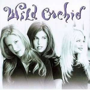 Wild Orchid