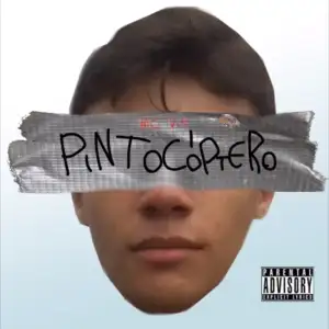 PINTOCÓPTERO